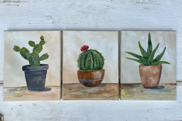 Succulent plants painted on canvas